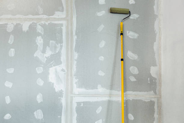 Best Drywall Sanding and Smoothing  in Rochester, WA